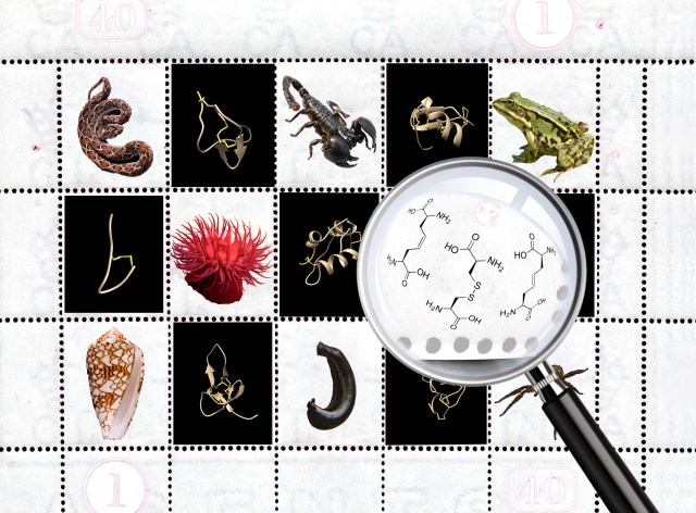 Robinson-cover final